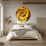 Altın Spiral Soyut Sanat Yuvarlak Cam Tablo - MODY097
