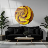Altın Spiral Soyut Sanat Yuvarlak Cam Tablo - MODY097