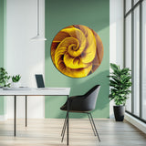 Altın Spiral Soyut Sanat Yuvarlak Cam Tablo - MODY097